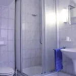 Offenthaler Hof Otel 2*