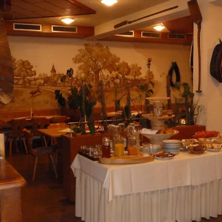 Otel Offenthaler Hof