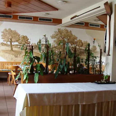 Otel Offenthaler Hof